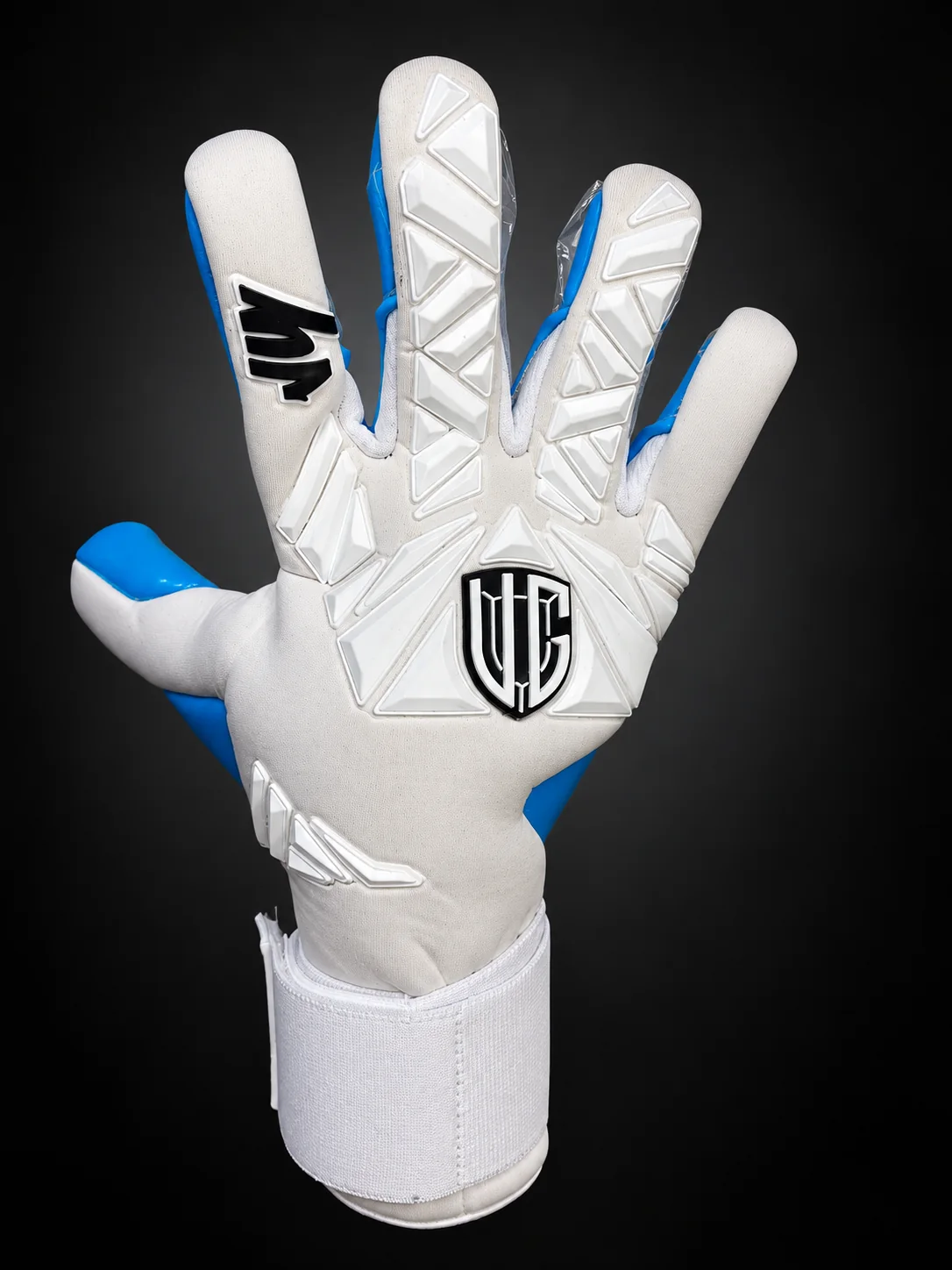 Champions White Aqua, dorso