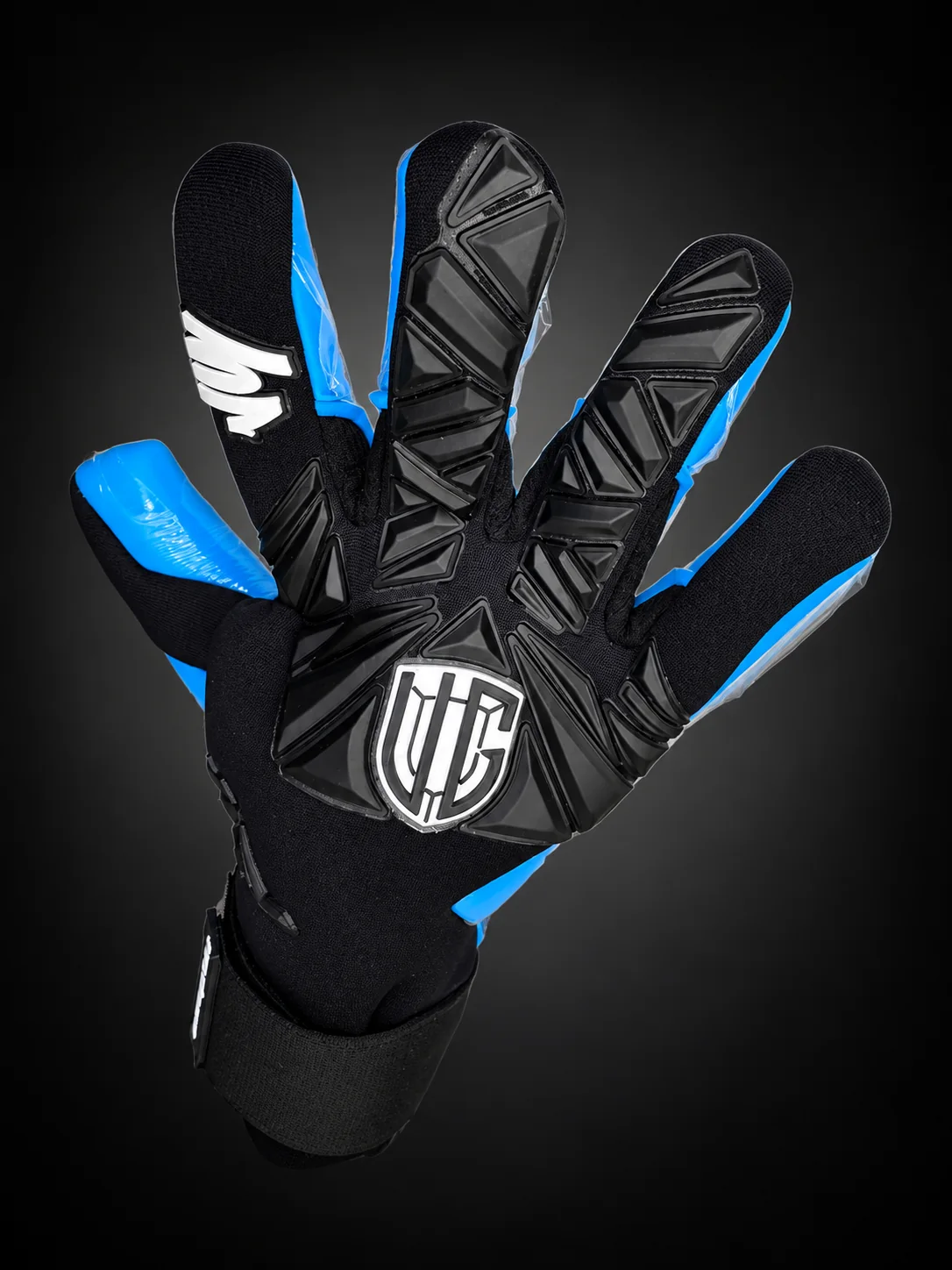 Champions Black Aqua, dorso en otro ángulo