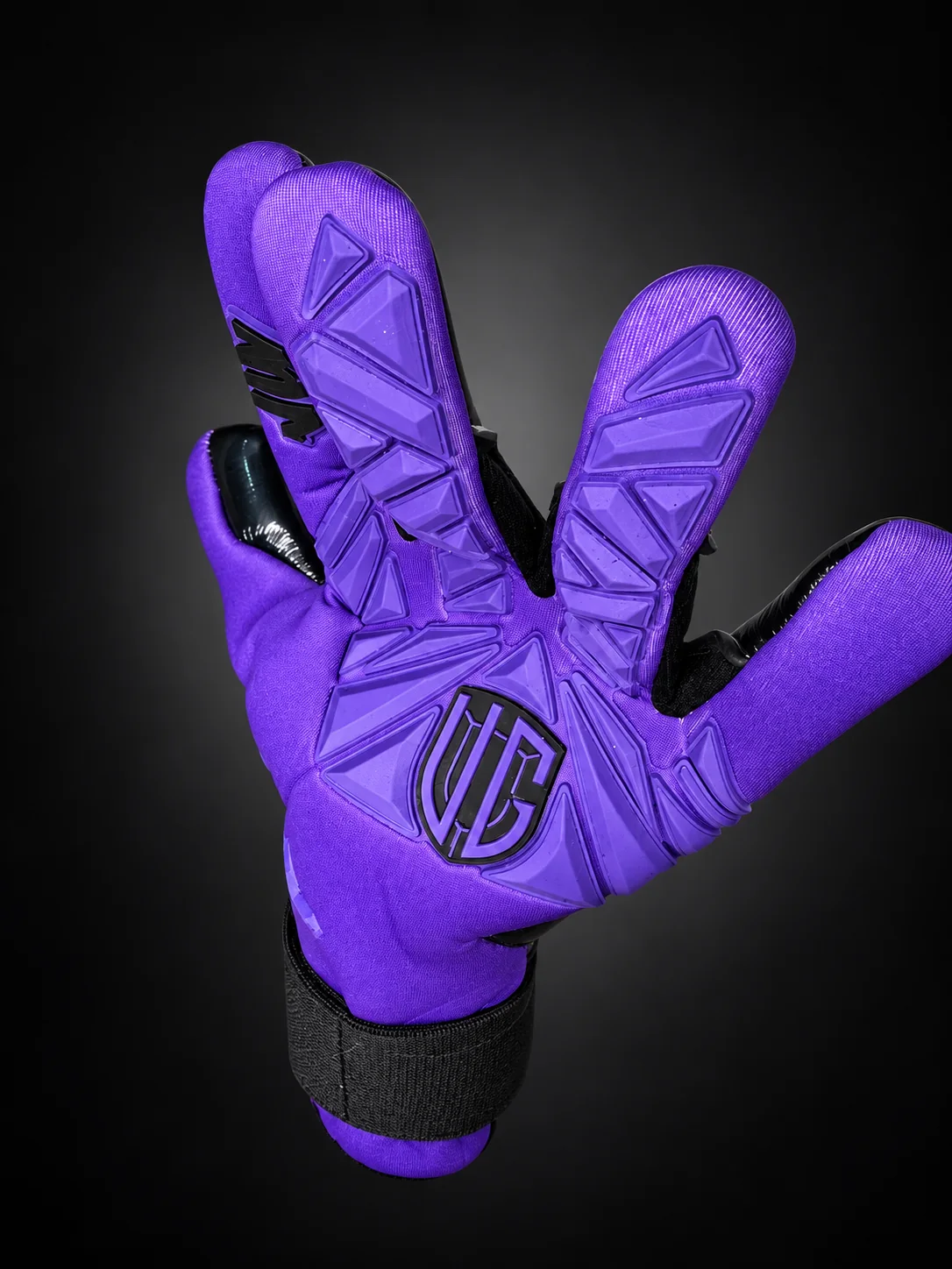 Champions purple, detalle del dorso