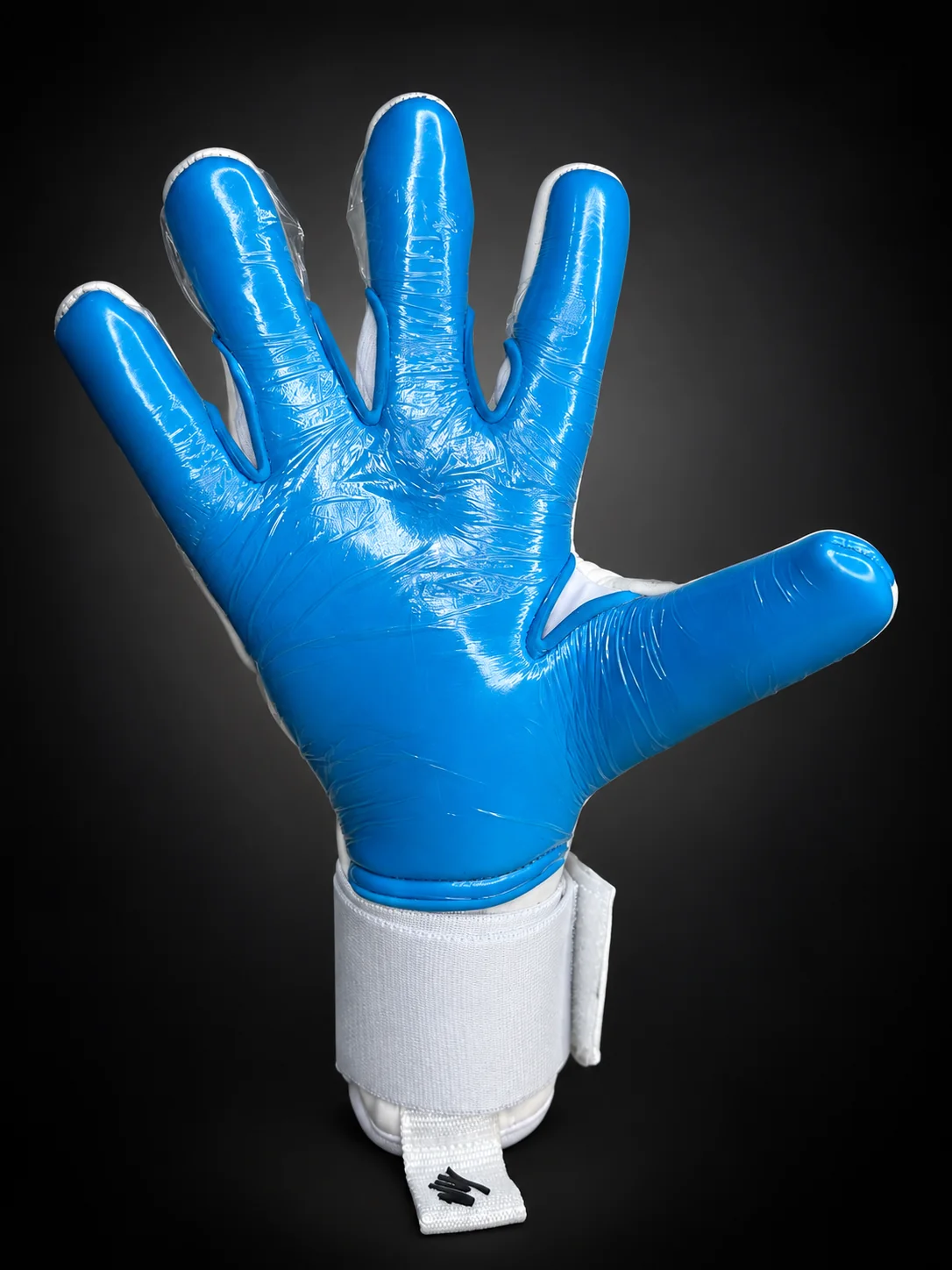 Champions White Aqua, palma azul