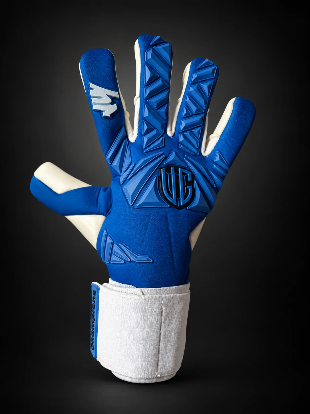 Champions Blue, dorso