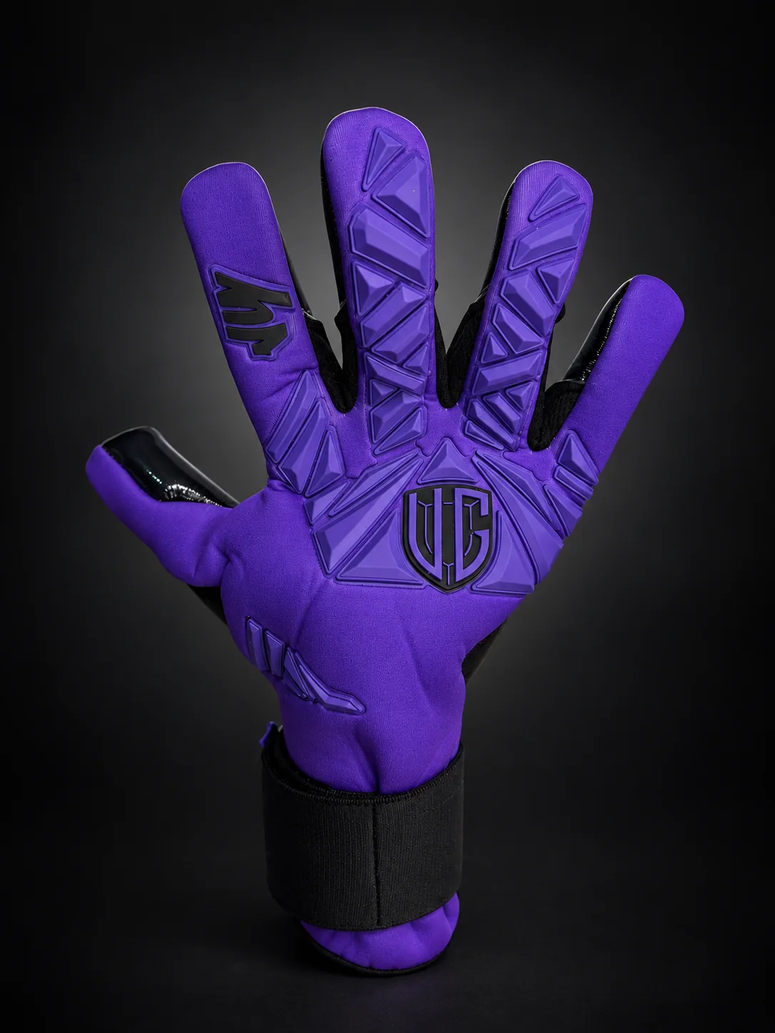 Champions purple, dorso